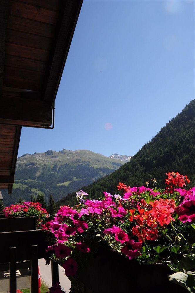 Hotel Cristal - Swiss Riders Lodge Grimentz Exterior photo